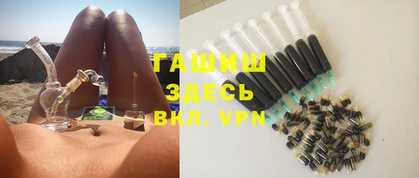 гидра Абаза