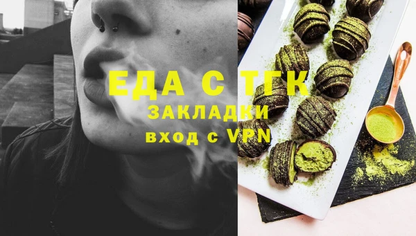 гидра Абаза